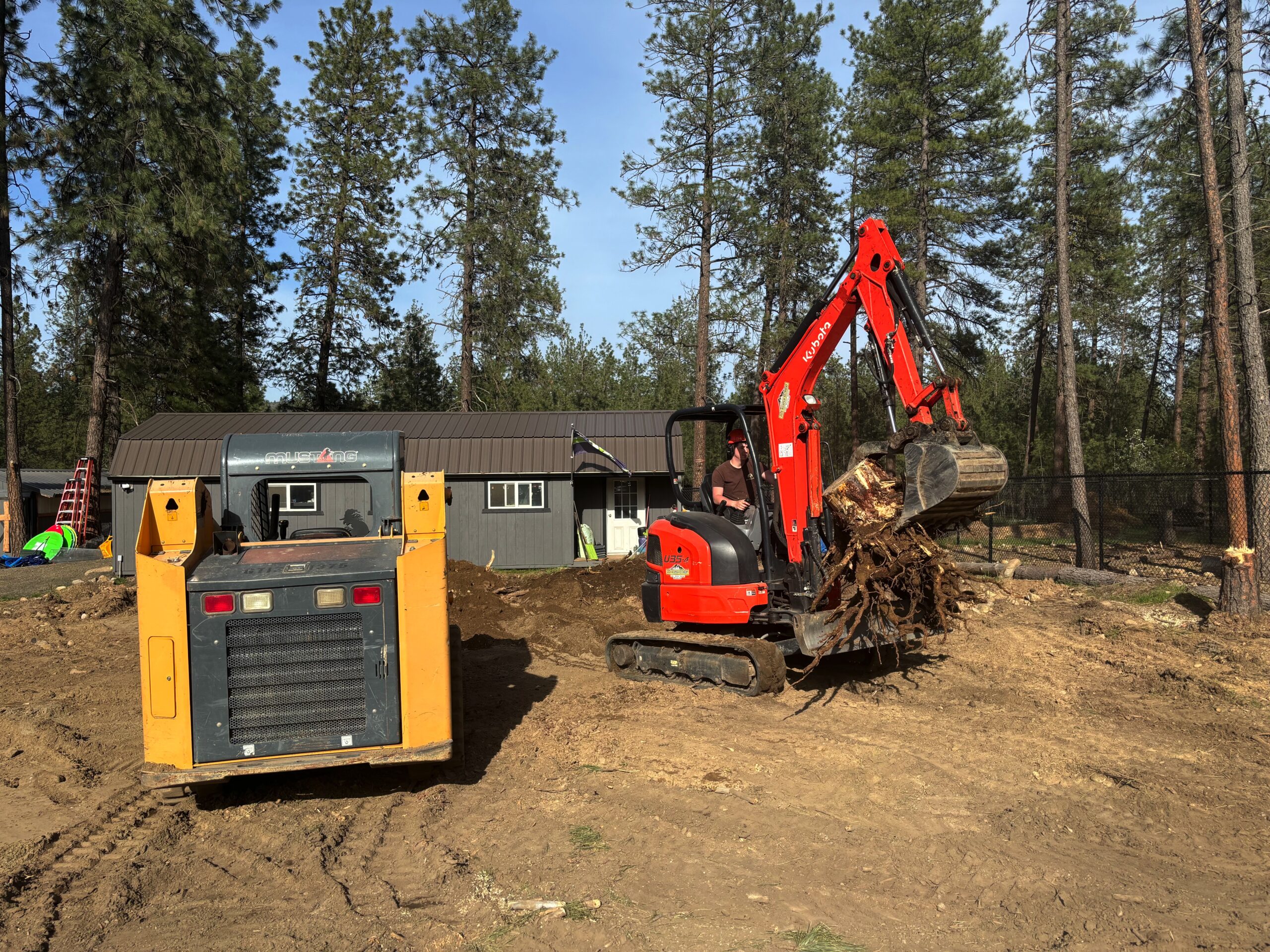 0D606F97-E741-4E84-84D5-48B8648D4EC4 Tree stump removal